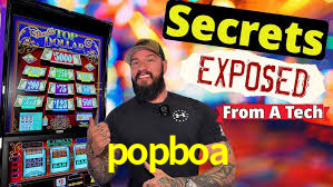 Daily Bonuses popboa